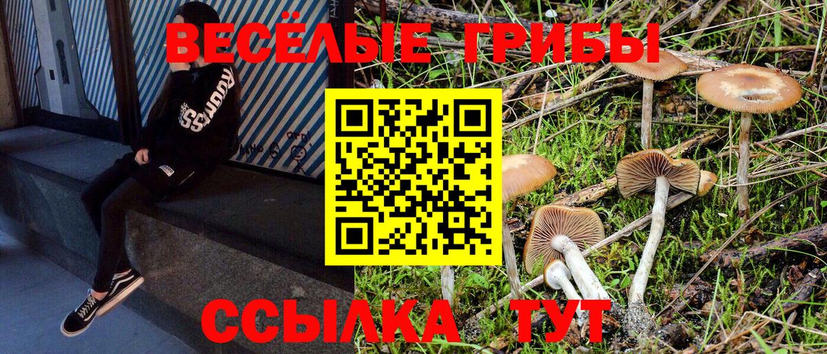 Псилоцибиновые грибы мухоморы Новочеркасск